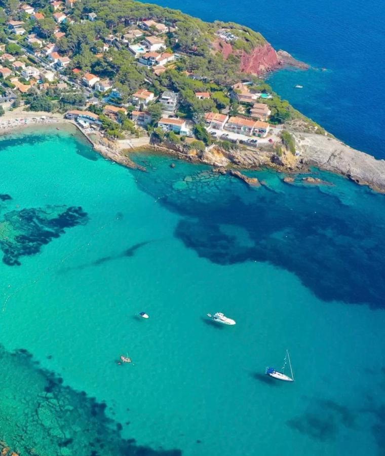 Confortable T2 Vue Mer Avec Terrasse Amenagee Et Parking Prive, Plage Et Port A Pied Sanary-sur-Mer Eksteriør bilde
